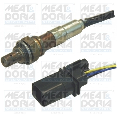 Oxygen Sensor